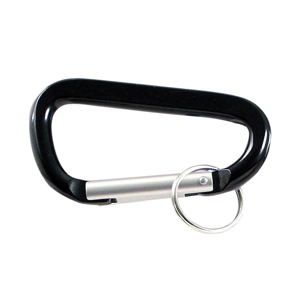 Personalized Carabiner Key Ring