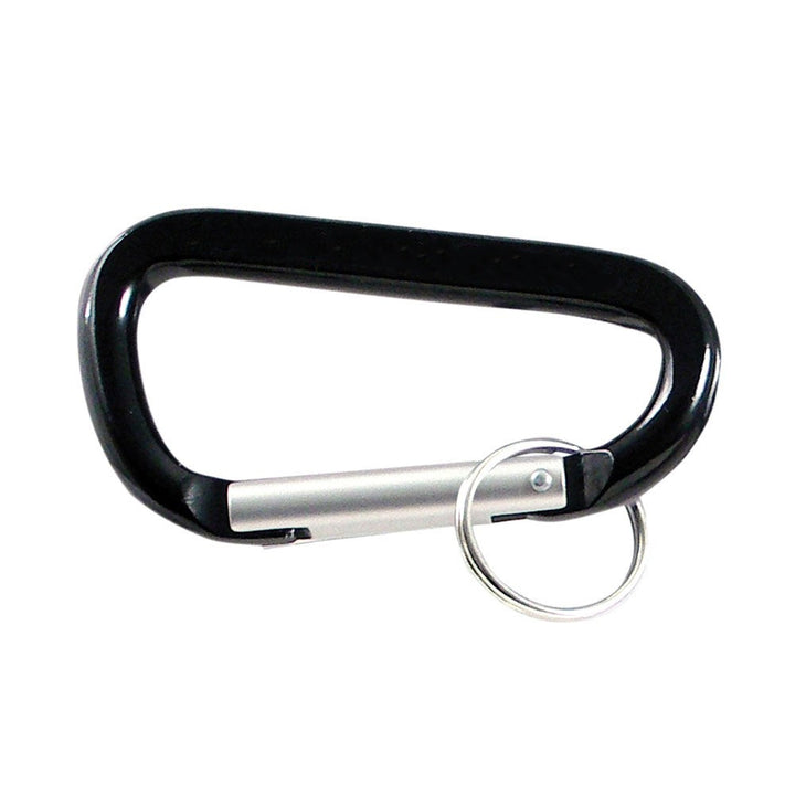 Personalized Carabiner Key Ring