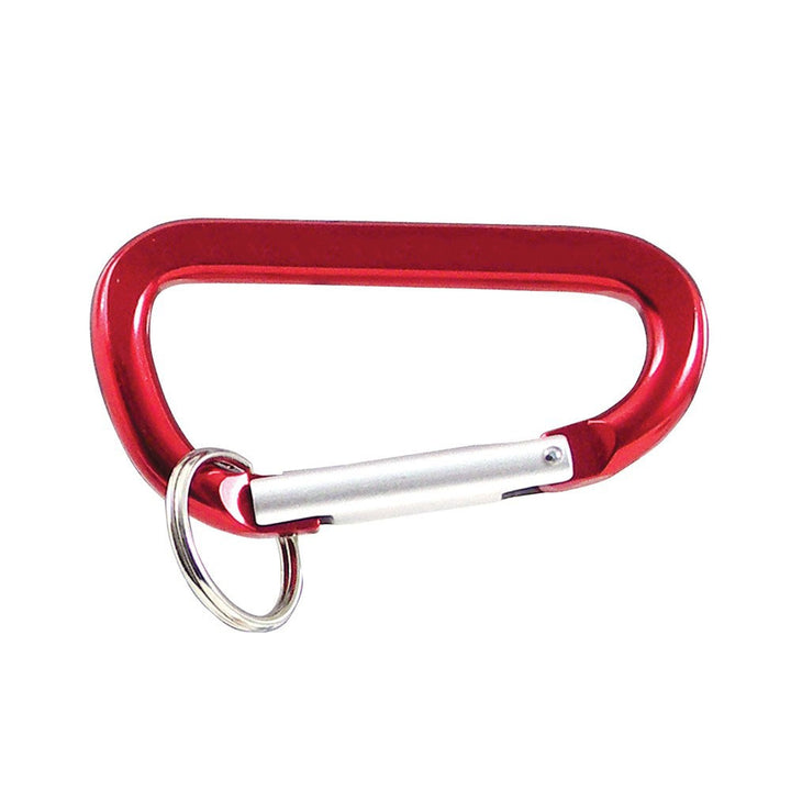 Personalized Carabiner Key Ring